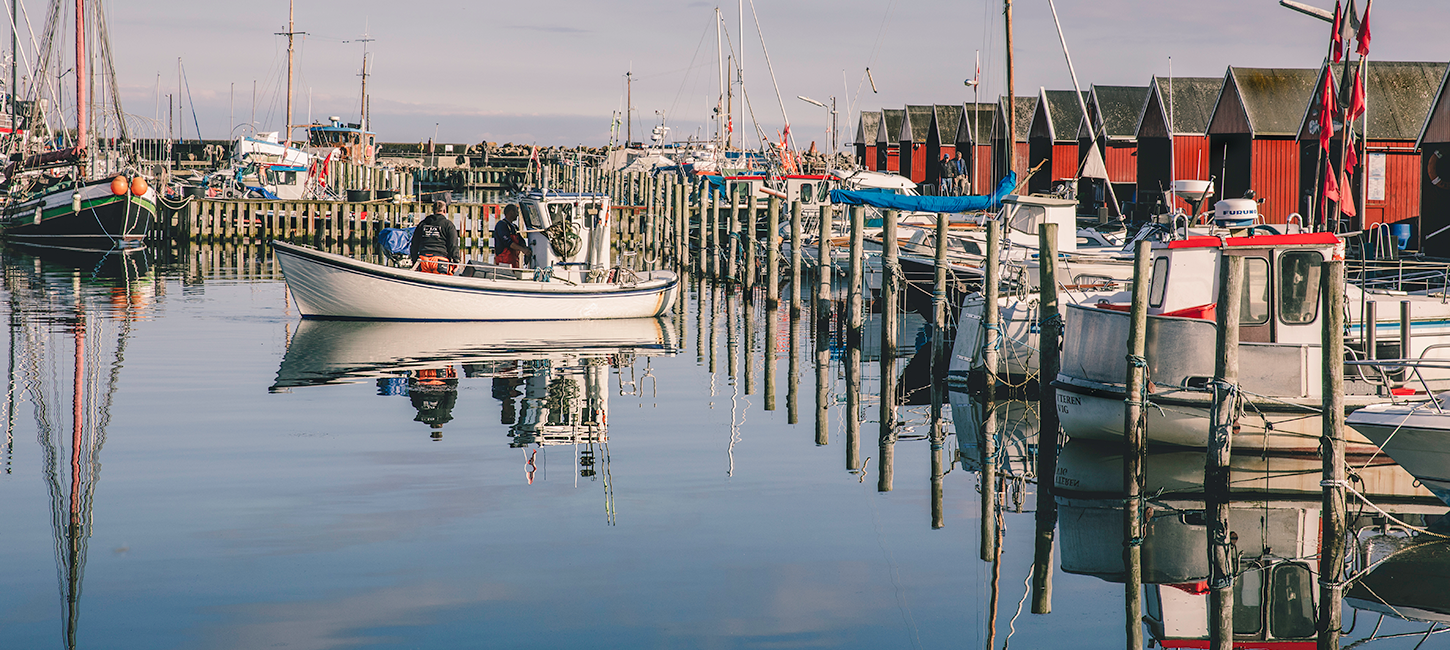 Rødvig havn