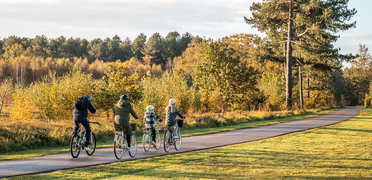 Efterår cykling familie