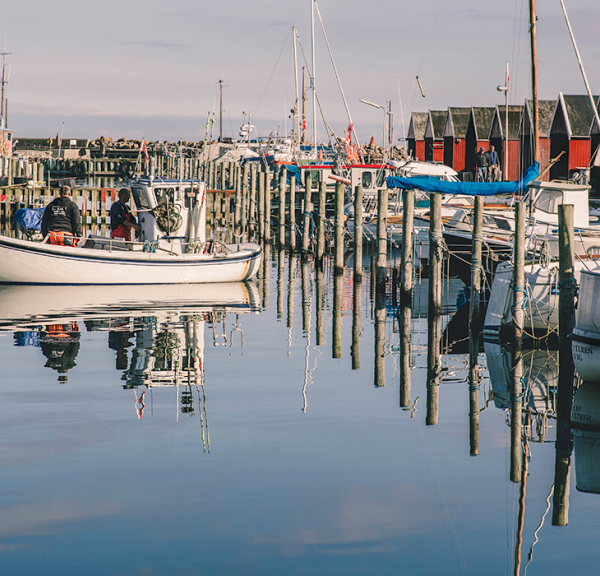 Rødvig havn