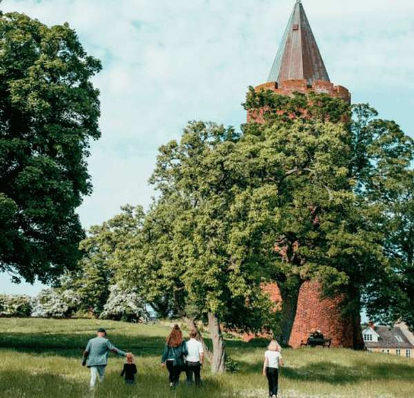 Gåsetårnet