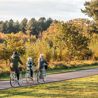 Efterår cykling familie